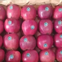 سیب قرمز