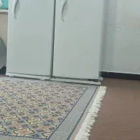 دوتا یخچال سالم