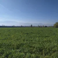 زمین-کشاورزی-3هزار-متر-سندتکبرگ