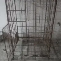 قفس مرغ خروس لاری