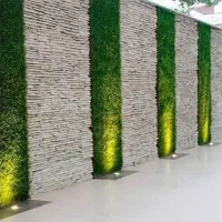 فروش و اجرای انواع چمن مصنوعی، فنس چمنی و گرین وال|خدمات باغبانی و درختکاری|شیراز, دکتر حسابی|دیوار