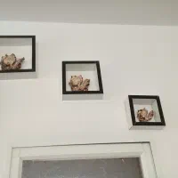 باکس جای مجسمه وگلدان ۲۰۰