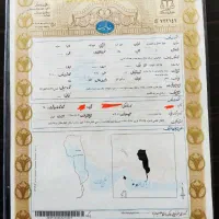 باغ-بادام-پل-زمان-خان