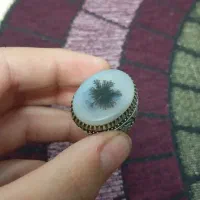 انگشتر شجر دستساز