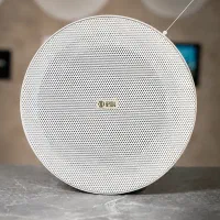 فروش اسپیکر سقفی مدل TW530 تنوع بالا در امامت