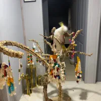 قفس خارجی بزرگ و درختچه بازی مخصوص طوطی سانان