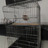 یک قفس بزرگ ۱۰۳۳