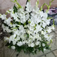 پایه گل|گل و گیاه طبیعی|مشهد, طبرسی شمالی|دیوار