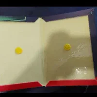 چسب موش (کتابی)