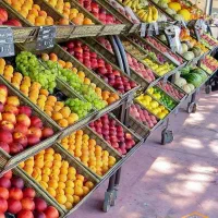 کارگر حرفه ای میوه فروشی