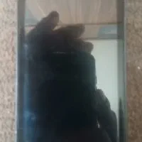 htc
