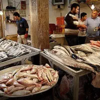 18مترتجاری-بازارچه-ماهی-فقط-600تومان