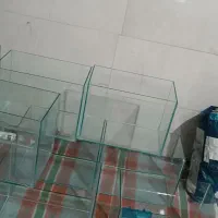 آکواریوم دونه آیی ۳۰۰ آف خورد سفارشی