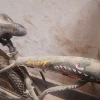 دوچرخه لاستیک پهن فول شیمانو|دوچرخه، اسکیت، اسکوتر|زاهدان, |دیوار