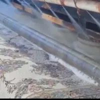 قالیشویی گیل بانو