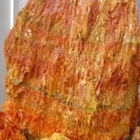 نوره زرنیخ طلایی نور