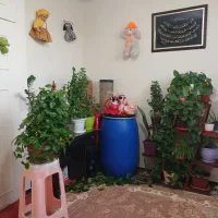 استند گل جادار و سالم