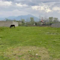 فروش یک قواره 1366 متری تماما مسکونی قابلیت تفکیک