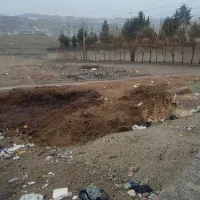 کود طبیعی گوسفندی