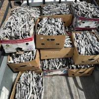 زغال پسته قلم سفید