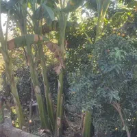 ۸۰ متر طبقه همکف تک واحدی نوساز ویو دار