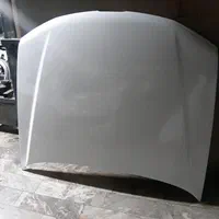 کاپوت و درب پارس و ۴۰۵ و ۲۰۶ و سمند رنگ کوره ای|قطعات یدکی و لوازم جانبی|کرج, حصارک بالا|دیوار