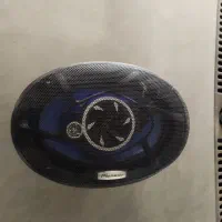 پایونر اصل