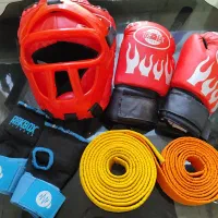 ست کامل فایت نینجا