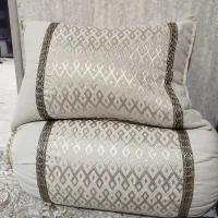 بالشت شاه نشینی