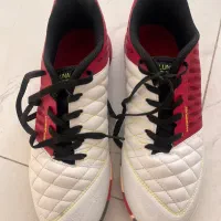 یک جفت کفش سالن