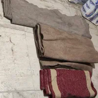 موکت کارکرده|موکت|خمینی‌شهر, |دیوار