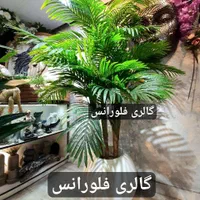 درختچه مصنوعی اصلی نسخه اروپایی|گل مصنوعی|کرج, گوهردشت|دیوار