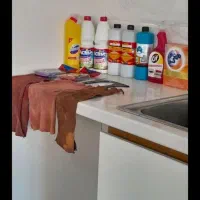 خانم انجام امور منزل نظافت