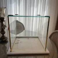 باکس شیشه ای بله برون،سایز بزرگ‌تکی