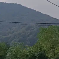 مشارکت-درچند-نقطه-رامسر300الی3000هزارمتری