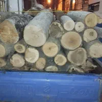 خرید و فروش چوب