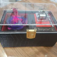 رز جاودان و باکس موزیکال|گل و گیاه طبیعی|تهران, افسریه جنوبی|دیوار