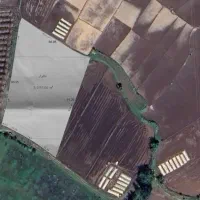 زمین-کشاورزی-شالی-کیوی