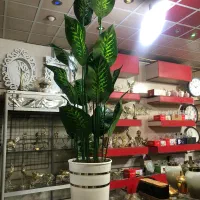 گل کنار سالنی مصنوعی قیمت توافقی