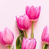 اف روی تمام خدمات