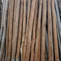 خرید انواع چوب|خدمات باغبانی و درختکاری|خمین, |دیوار