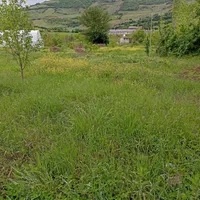 فروش باغ و زمین یک هکتار ی با سند رسمی فروشی|فروش دفتر صنعتی، کشاورزی، تجاری|توتکابن, |دیوار