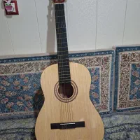 گیتار آرمانی