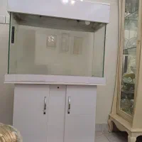 اکواریوم بزرگ وسالم|ماهی|تهران, دردشت|دیوار