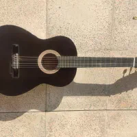 گیتار به همراه کیف