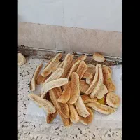 نوخشک ونون سندویچی خشک
