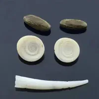 مهره تضمینی اصل اصل