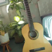 گیتار حرفه ای اصل اسپانیا sevila