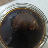 سیر ترشی|خوردنی و آشامیدنی|قم, کلهری|دیوار