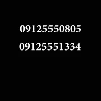 09125551334|سیمکارت|ساوه, |دیوار